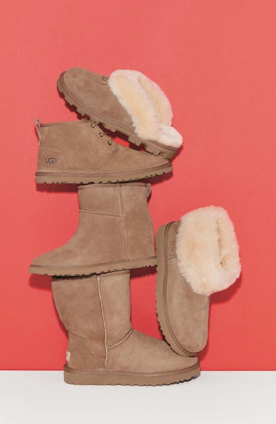 Shop Ugg Classic Ii Genuine Shearling Lined Short Boot In Sand Suede