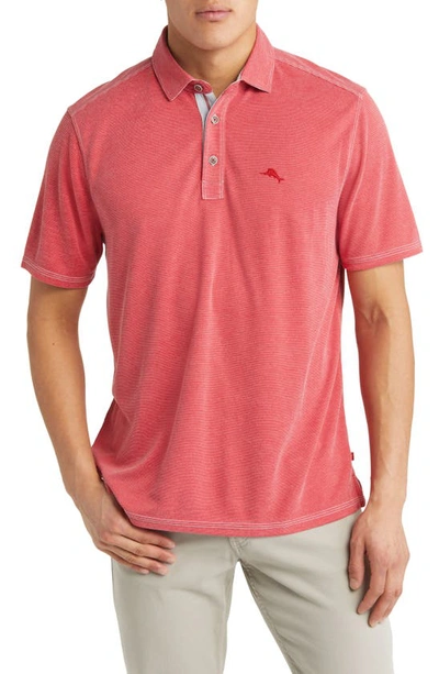 Men's Tommy Bahama Polo Shirts