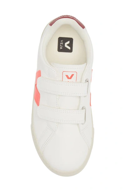 Shop Veja Kids' Esplar Sneaker In Extra-white Rose-fluo Marsala