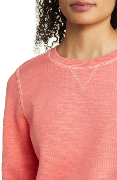 Tommy Bahama Tobago Bay Crewneck Sweatshirt In Dubarry Coral