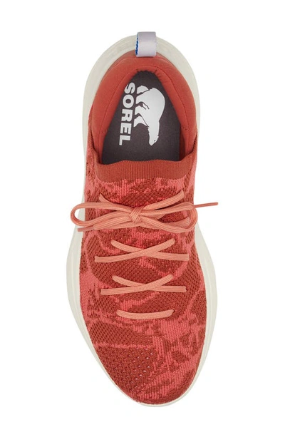 Shop Sorel Explorer Blitz Stride Sneaker In Warp Red/ Chalk