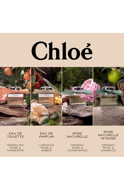 Shop Chloé Rose Naturelle Intense Eau De Parfum, 1 oz In Regular