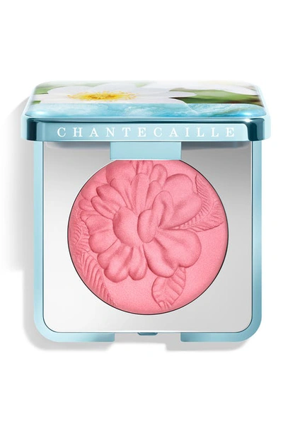 Shop Chantecaille Wild Meadows Blush In Apple Blossom