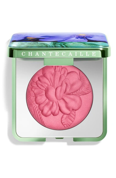 Shop Chantecaille Wild Meadows Blush In Anemone