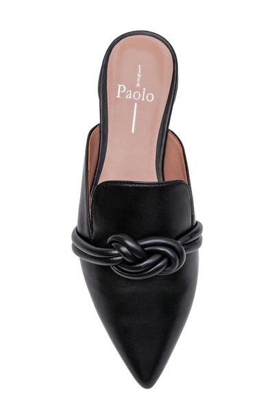 Shop Linea Paolo Azelia Pointed Toe Mule In Black