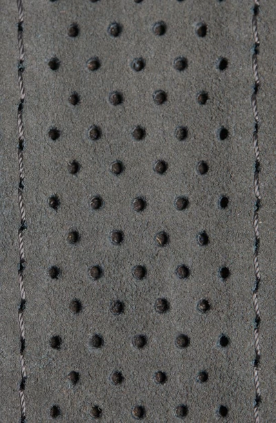 Shop Px Perforated Suede & Leather Belt In Light Grey