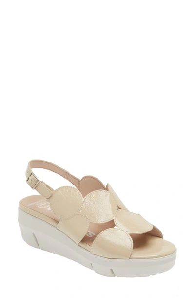 Wonders platform sale sandal