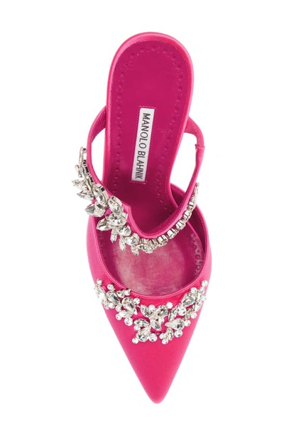 Shop Manolo Blahnik Lurum Crystal Leaf Pointed Toe Mule In Pink