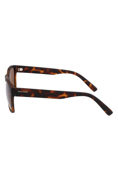 Cole Haan 55mm Polarized Square Sunglasses In Tortoise