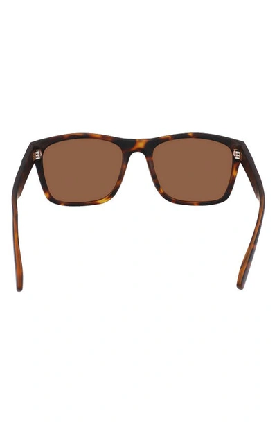 Cole Haan 55mm Polarized Square Sunglasses In Tortoise