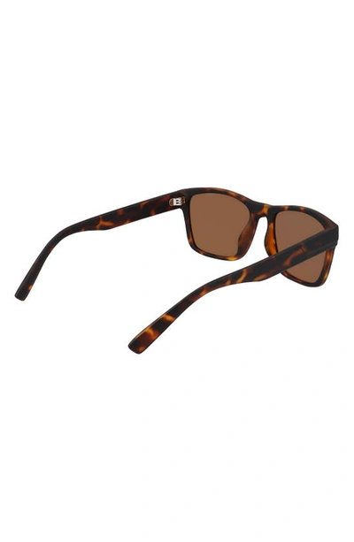 Cole Haan 55mm Polarized Square Sunglasses In Tortoise