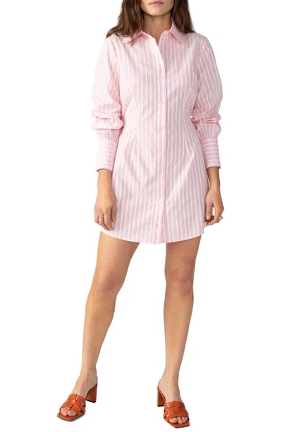 Shop Sanctuary Slimmer Stripe Cotton Shirtdress In Pink No3