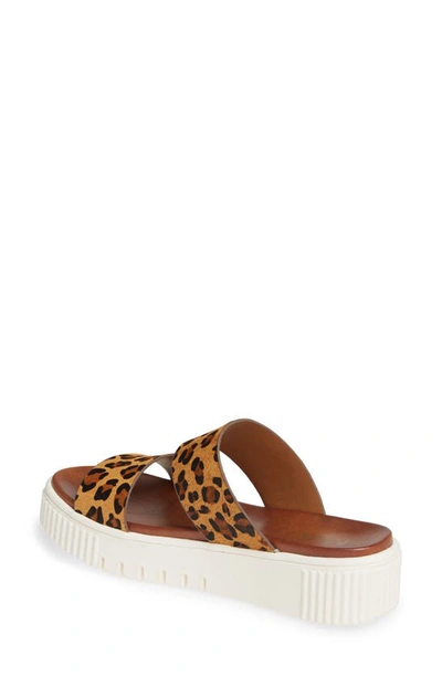 Shop Mia Lexi Platform Slide Sandal In Leopard Print Calf Hair