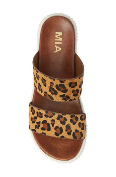 Shop Mia Lexi Platform Slide Sandal In Leopard Print Calf Hair