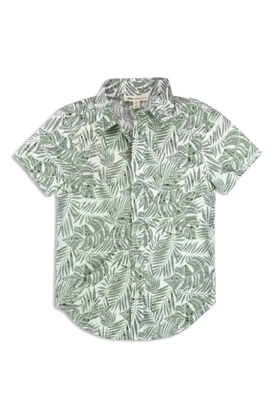 Shop Appaman Kids' Day Party Short Sleeve Button-up Shirt In Sage Palms