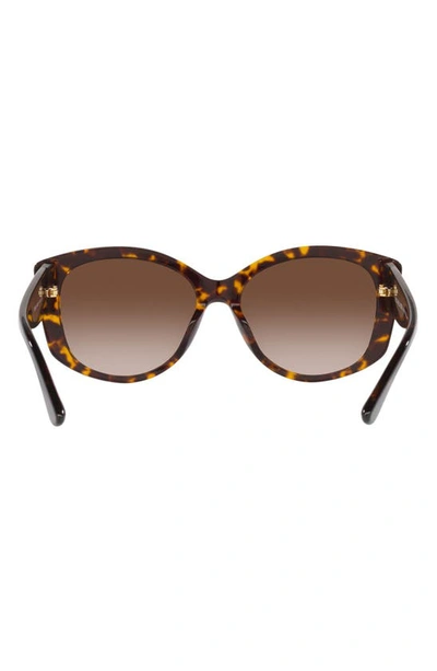 Shop Michael Kors Charleston 54mm Gradient Round Sunglasses In Brown Grad