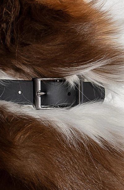 Shop Wild One All-weather Dog Collar In Black