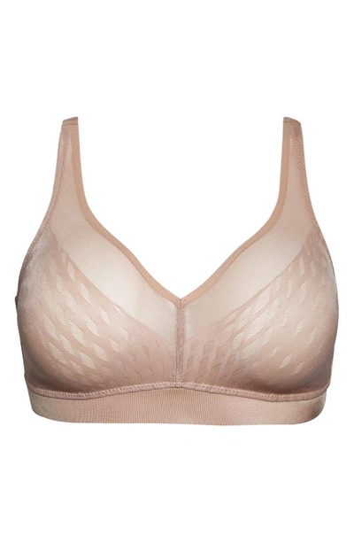 Wacoal Elevated Allure Wireless Bra In Roebuck