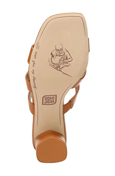 Shop Sarto By Franco Sarto Flexa Carly Slide Sandal In Tan Brown