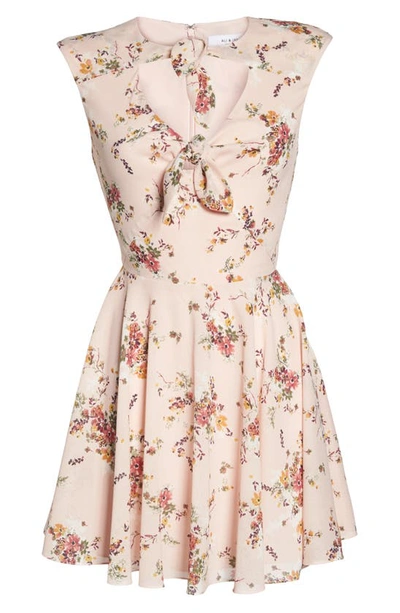Shop Ali & Jay El Cid Floral Tie Front Minidress In Blush Vintage Bouquet