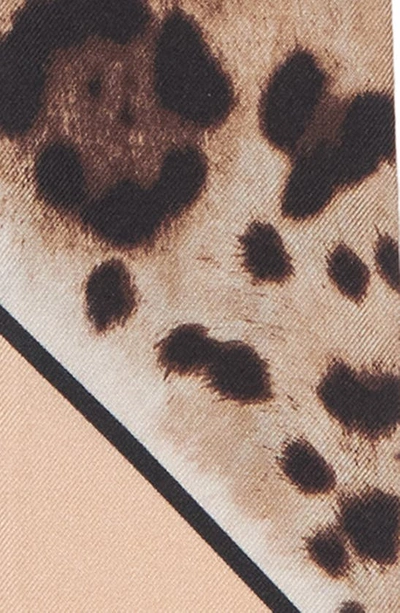 Shop Dolce & Gabbana Leopard Print Silk Skinny Scarf In Lt Brown Print