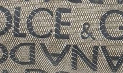 Dolce & Gabbana Logo Print Canvas Belt Bag In Brown/ Blac