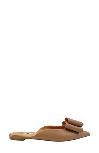Zigi Finland Pointed Toe Mule In Natural