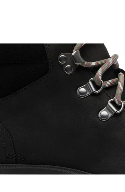 Sorel Hi-line Womens Walking Outdoor Hiking Boots In Black Jet