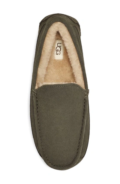 Shop Ugg Ascot Slipper In Forest Night