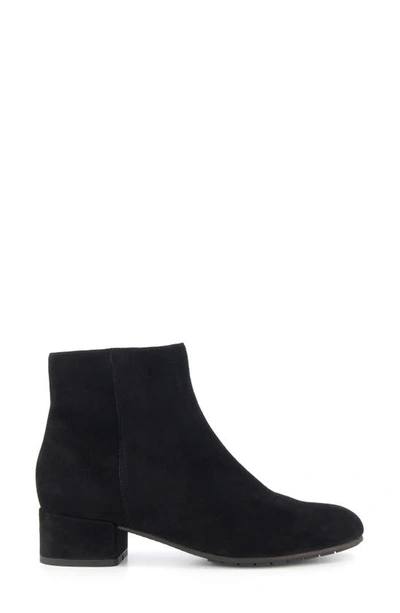 Shop Dune London Pippie Bootie In Black