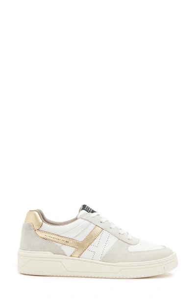 Shop Allsaints Vix Low Top Sneaker In White/ Gold