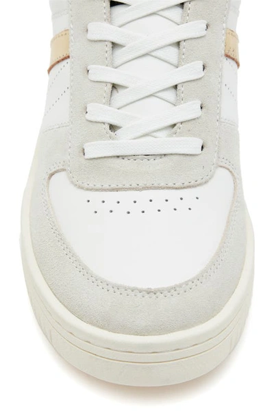 Shop Allsaints Vix Low Top Sneaker In White/ Gold