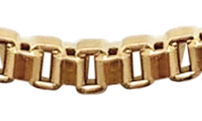 Shop Laura Lombardi Venezia Box Chain Necklace In Brass