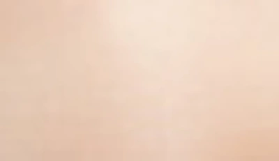 Felina Marvelous Strapless Bra In Warm Nude