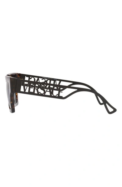 Shop Versace 50mm Square Sunglasses In Havana