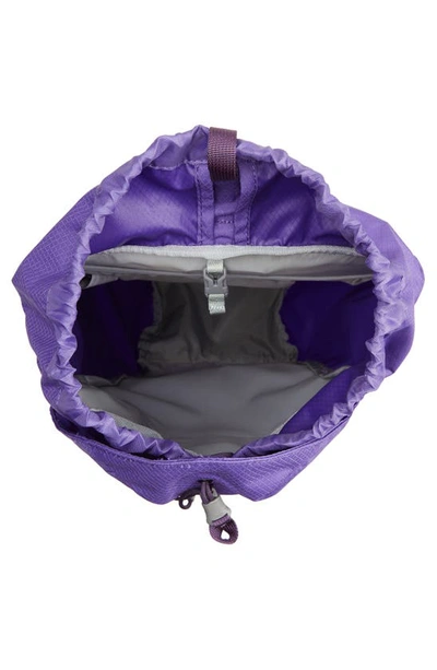 Shop Osprey Daylite Backpack In Dream Purple