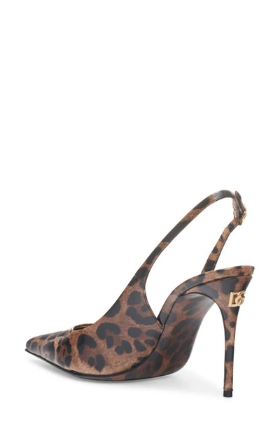 Shop Dolce & Gabbana Leopard Print Pointed Toe Slingback Pump In Print Leo