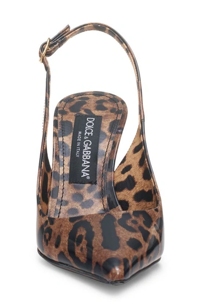 Shop Dolce & Gabbana Leopard Print Pointed Toe Slingback Pump In Print Leo