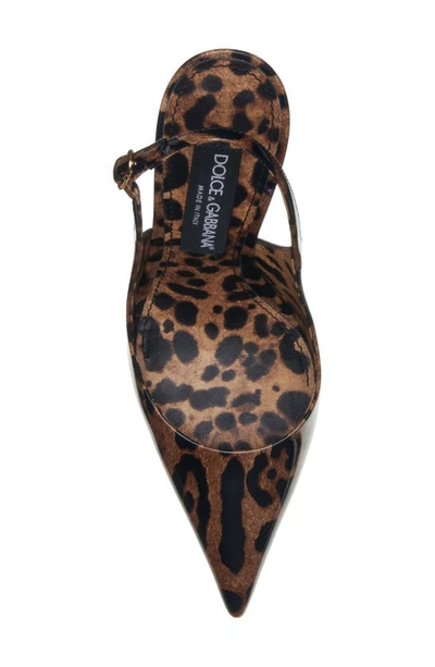 Shop Dolce & Gabbana Leopard Print Pointed Toe Slingback Pump In Print Leo