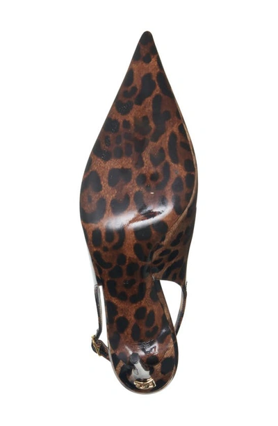 Shop Dolce & Gabbana Dolce&gabbana Leopard Print Pointed Toe Slingback Pump In Print Leo