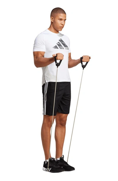 Shop Adidas Originals Aeroready Training Essentials Athletic Shorts In Black/ White