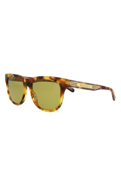 Shop Gucci 55mm Square Sunglasses In Havana