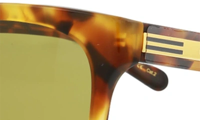 Shop Gucci 55mm Square Sunglasses In Havana