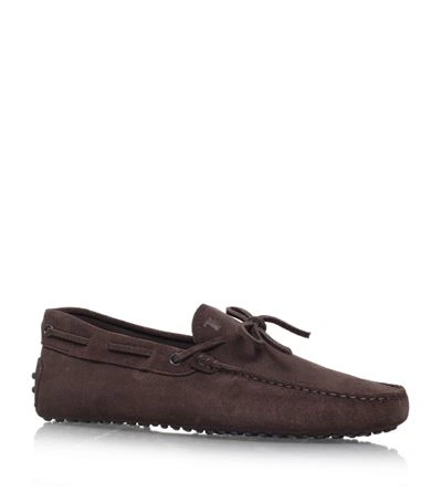 Shop Tod's Laced Gommino Suede Driving Shoe In Dark Brown