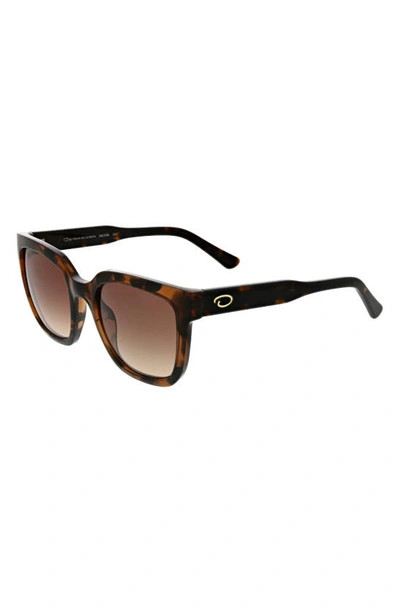 Shop Oscar De La Renta Modern Square Sunglasses In Tort