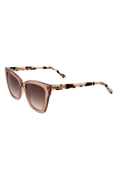 Shop Oscar De La Renta Butterfly Cat Eye Sunglasses In Blush