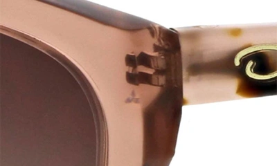 Oscar De La Renta Butterfly Cat Eye Sunglasses In Blush