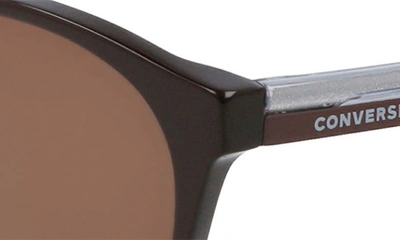 Shop Converse Disrupt 52mm Round Sunglasses In Dark Root/ Brown