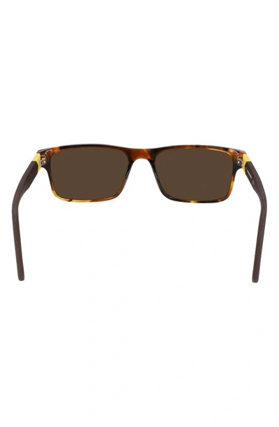 Converse Rise Up 55mm Sunglasses In Amber Tortoise
