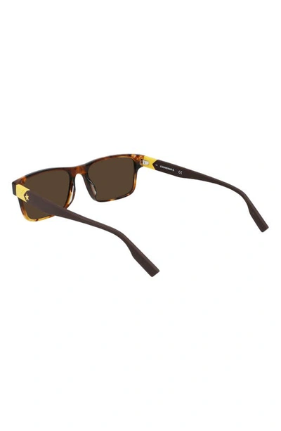 Converse Rise Up 55mm Sunglasses In Amber Tortoise